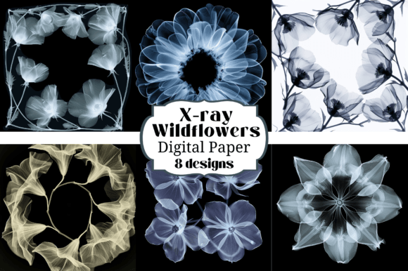 X-ray Wildflower Backgrounds: A Detailed Digital Paper Collection
